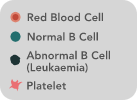 about-markers