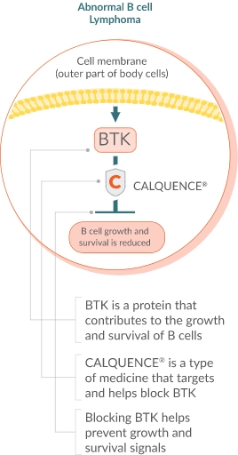 Illustration how calquence works